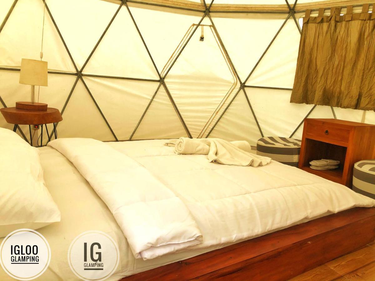 金塔马尼 Igloo Glamping Bali酒店 外观 照片