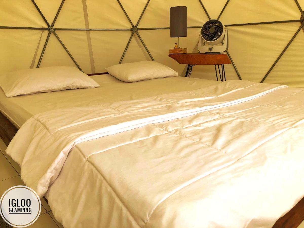 金塔马尼 Igloo Glamping Bali酒店 外观 照片